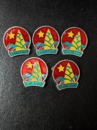 荷兰第124期勋赏拍卖--本期发货时效两天内绝不拖延谢谢各位支持 - 越南80年代优秀少先队员证章五枚