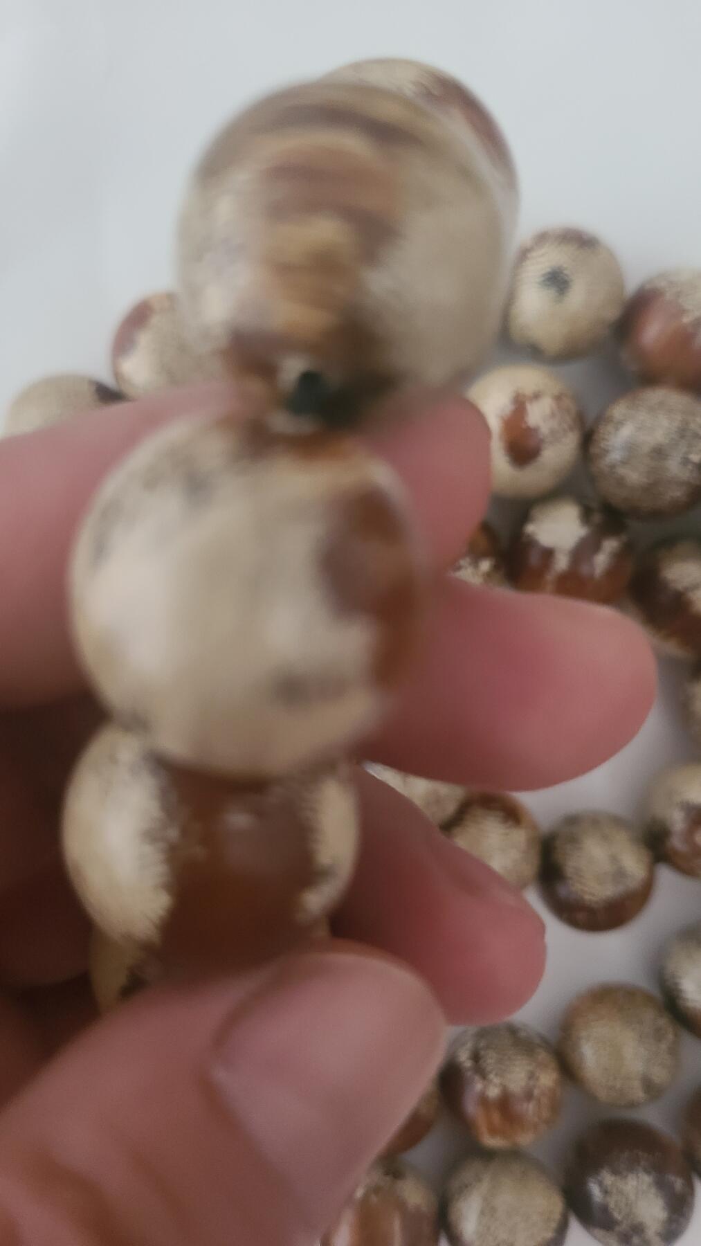 万年野生昆仑梅阁108颗