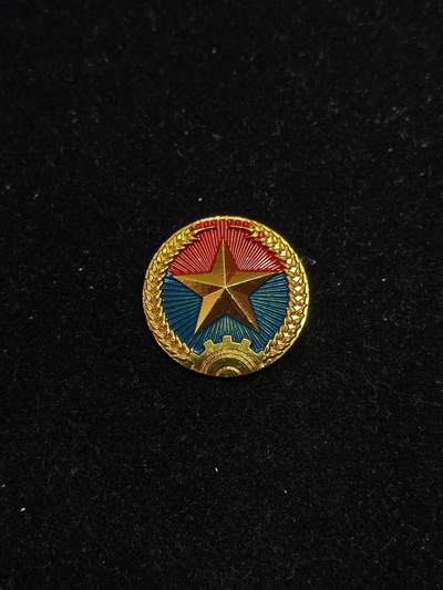 蜀地medal第10场精品专场拍卖 - 早期南方民族解放阵线帽徽