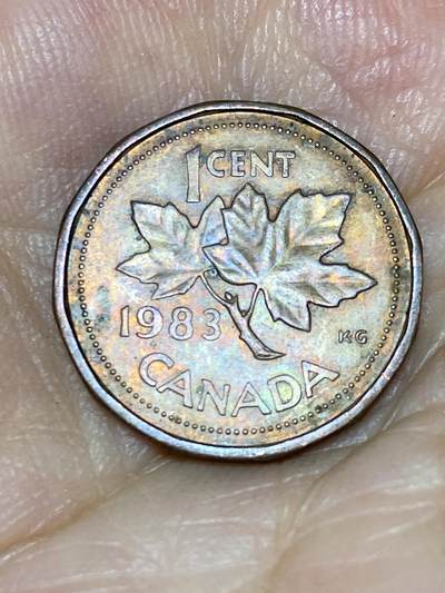 2025年第七十六场(总第一百零二场）外国好品散币(免佣金) - 加拿大🇨🇦1983年1分(伊丽莎白二世中年花冠第四版)