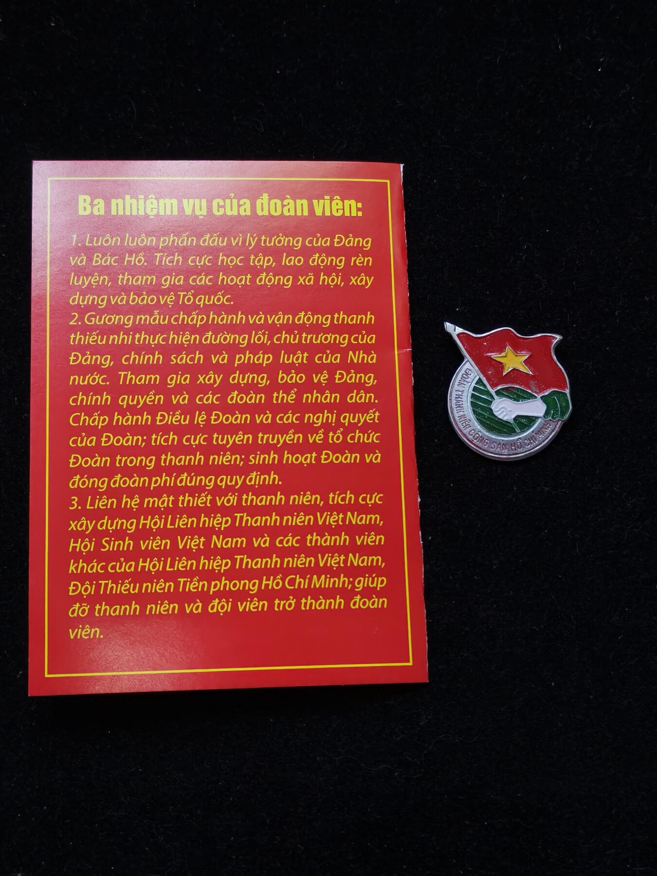 蜀地medal第10场精品专场拍卖 越南共青团证章一套 #01