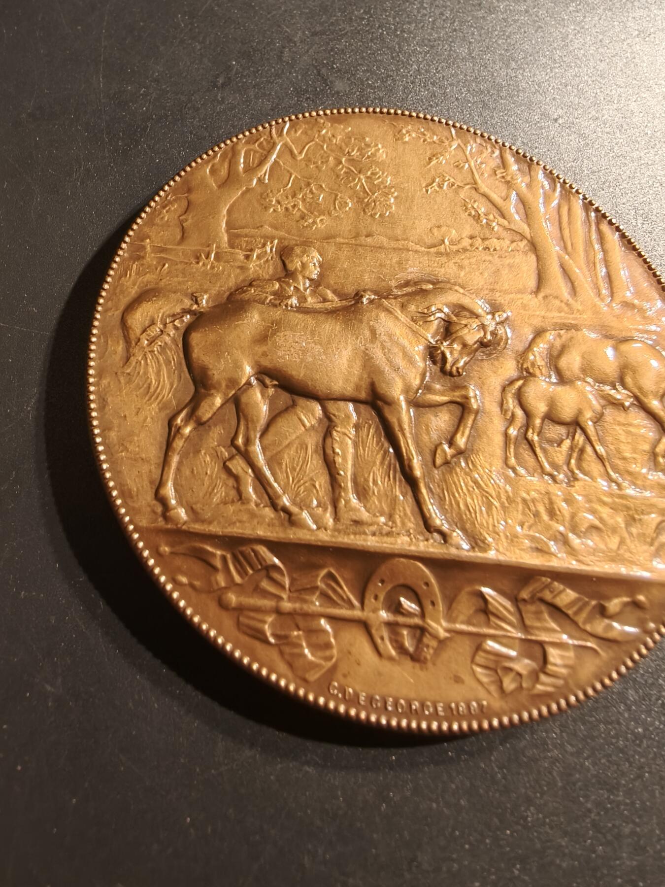 老王徽章第140期 法国畜牧业养殖大铜章    直径69mm   重量149g