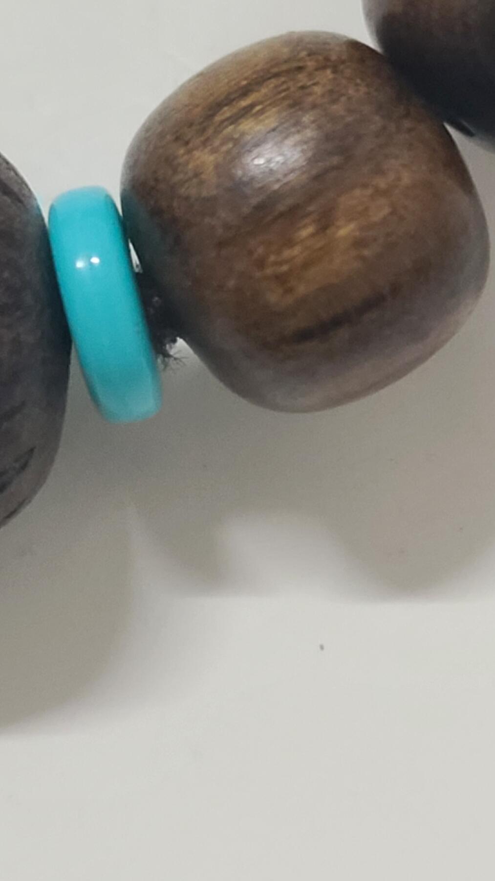 巴布亚野生贡木