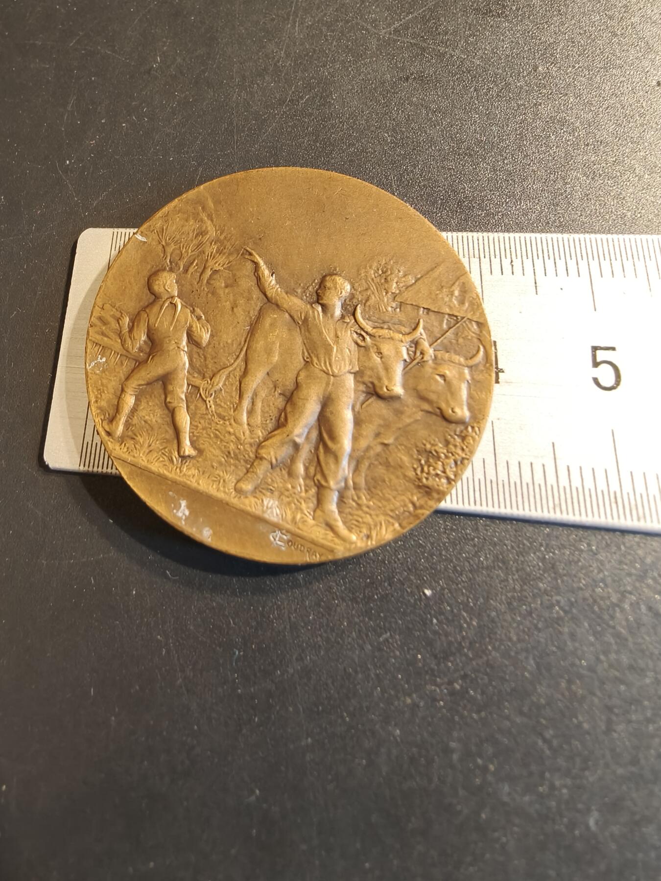 老王徽章第140期 法国养殖业大铜章    直径40mm   重量30g   大师库德雷作品