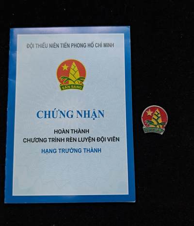 蜀地medal第10场精品专场拍卖 - 越南少年先锋队证章一套 #01