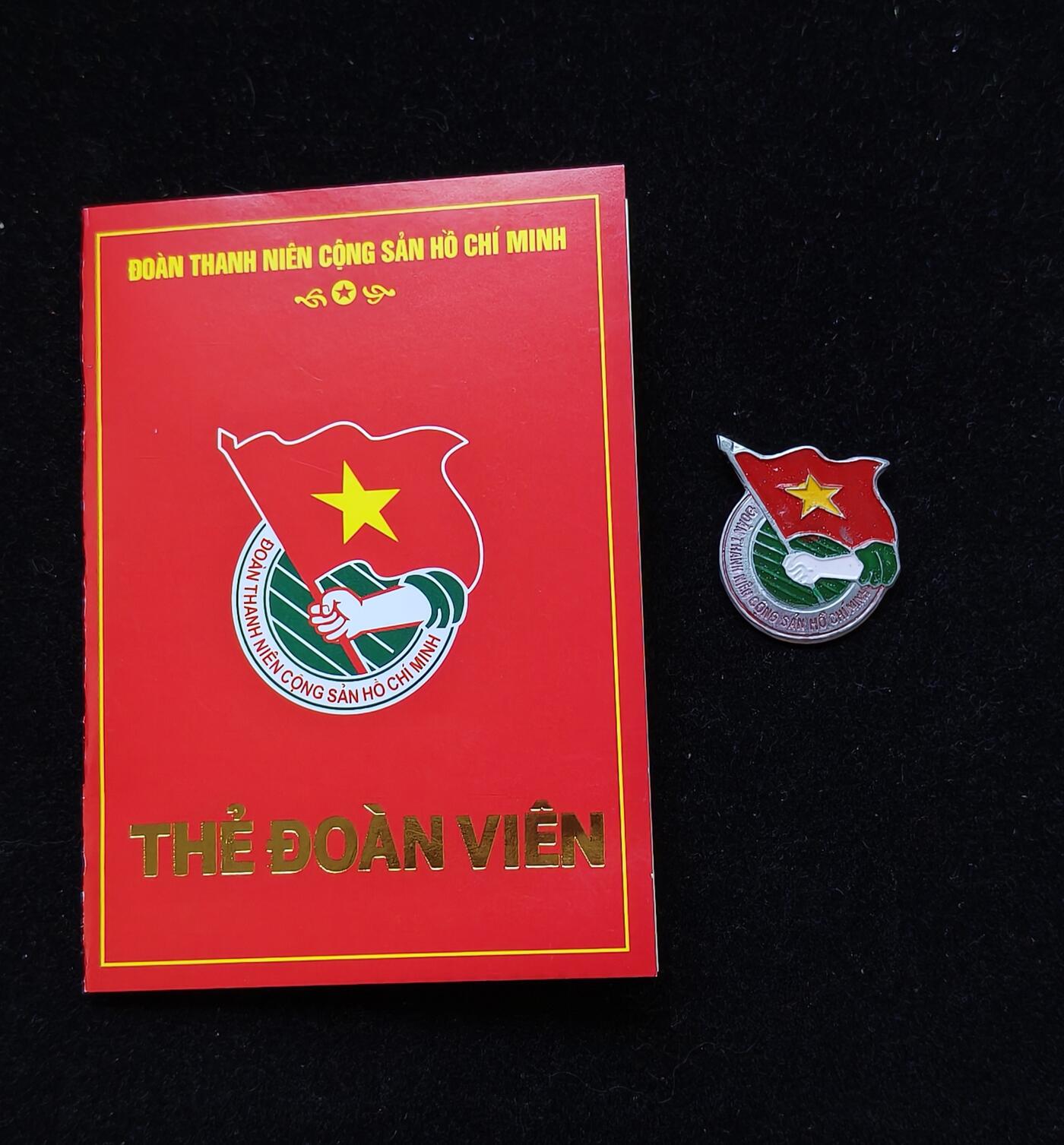 蜀地medal第10场精品专场拍卖 越南共青团证章一套 #01