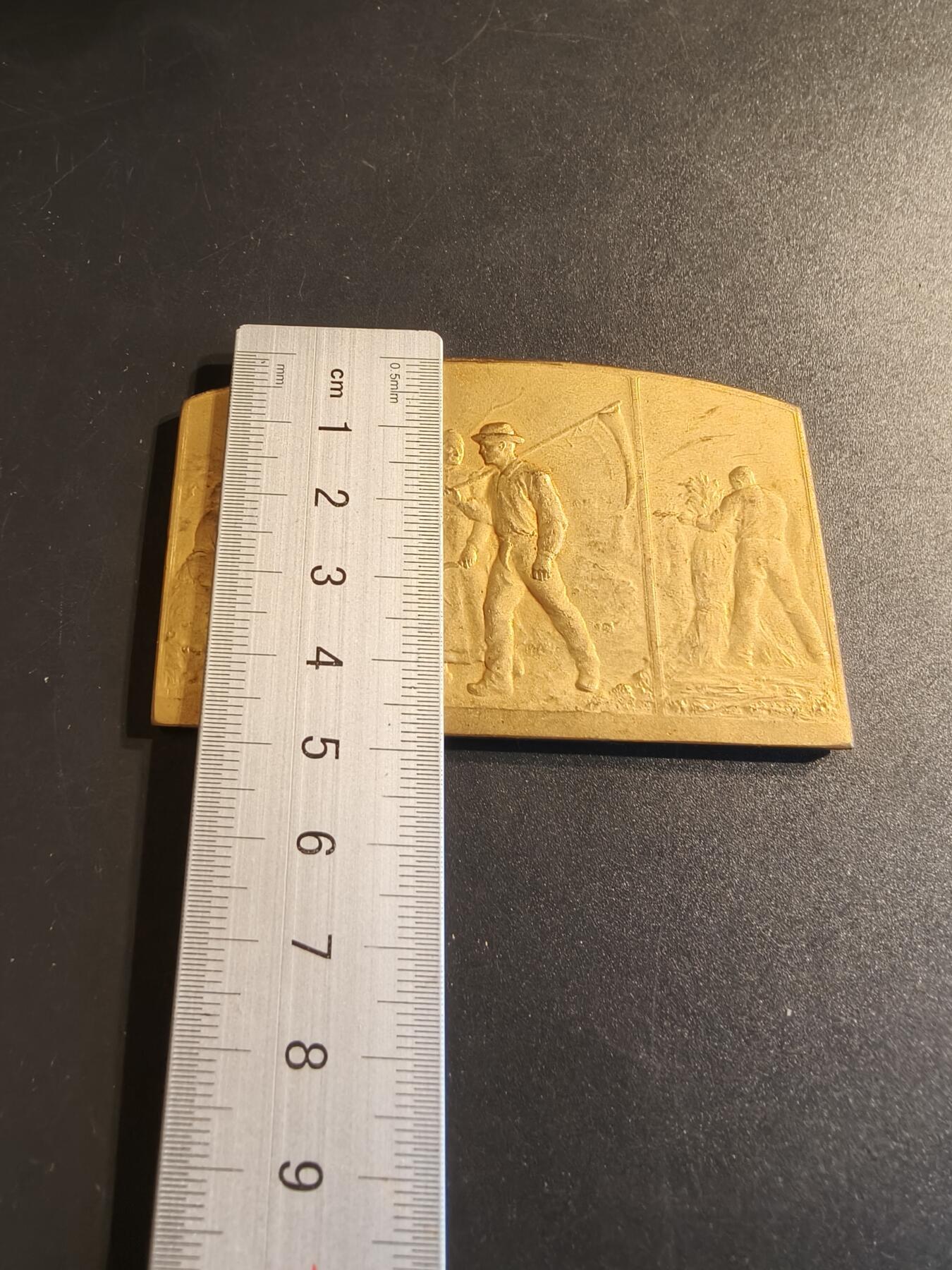 老王徽章第140期 法国农业协会方形镀金大铜章    尺寸79×48mm    重量111.2g