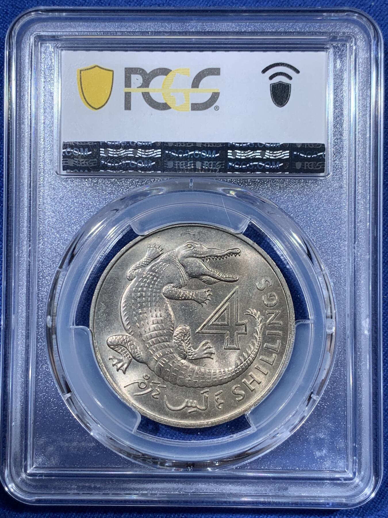 《竞宝斋》第408场 周日，周一，2场连拍 （全场包邮） PCGS MS64 冈比亚1966年4先令大鳄鱼 热门品种 两面转光 卷拆品相 好品比较少