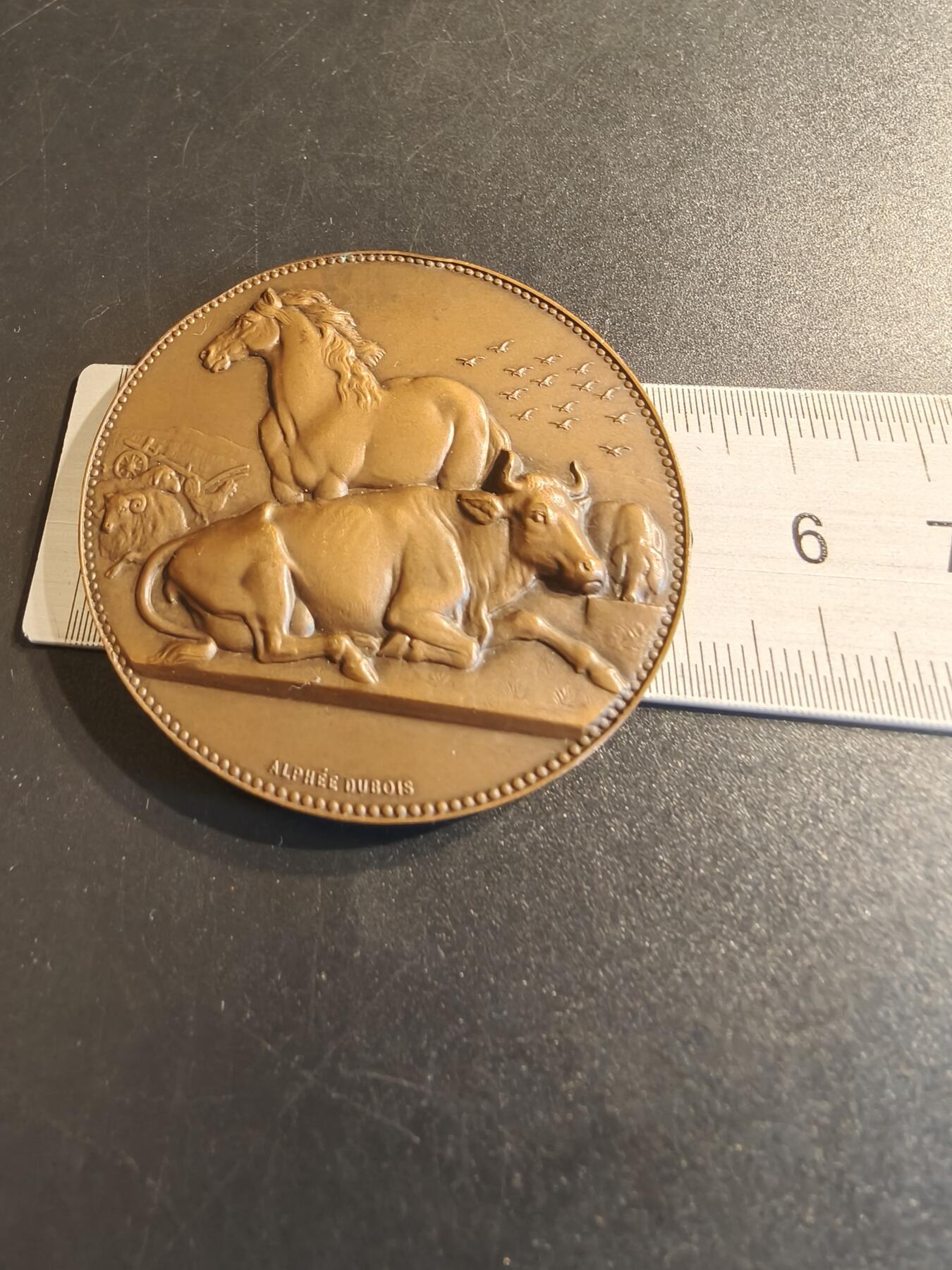 老王徽章第140期 法国养殖业大铜章     高浮雕     直径51mm   重量62.7g