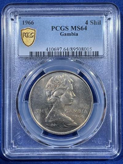 《竞宝斋》第408场 周日，周一，2场连拍 （全场包邮） - PCGS MS64 冈比亚1966年4先令大鳄鱼 热门品种 两面转光 卷拆品相 好品比较少