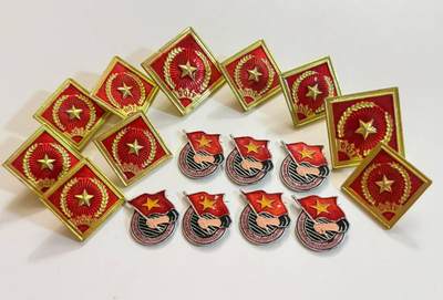 RimeNova韵星2025军品类夏季拍卖会-- RimeNova 2025 Summer Militaria Sale - 越南社会主义共和国民兵证章帽徽两用章十枚+优秀共青团员证章7枚