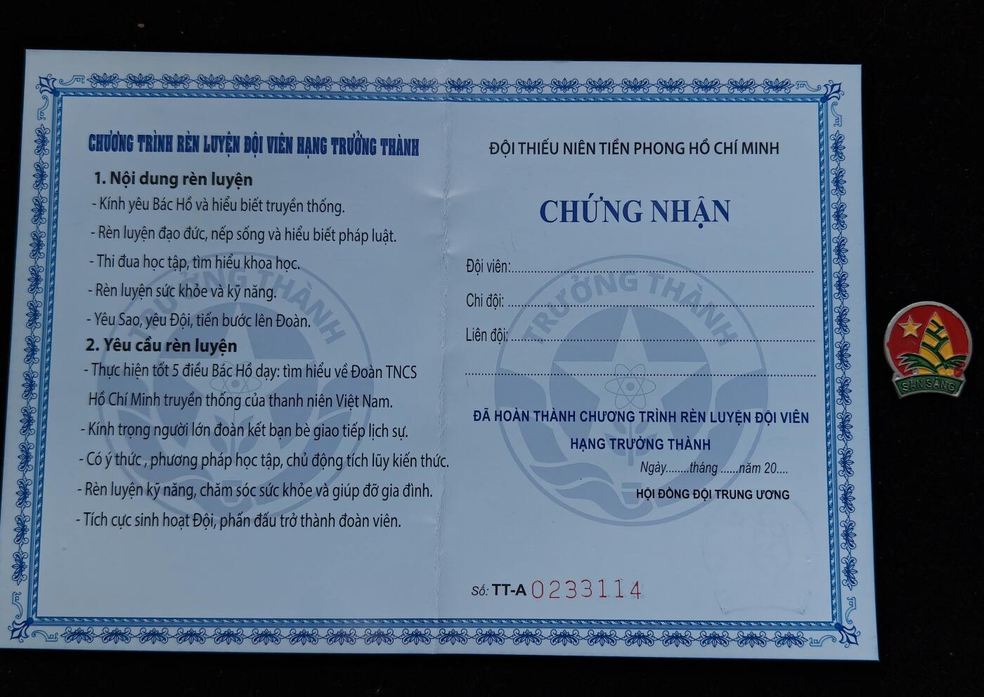 蜀地medal第10场精品专场拍卖 越南少年先锋队证章一套 #02