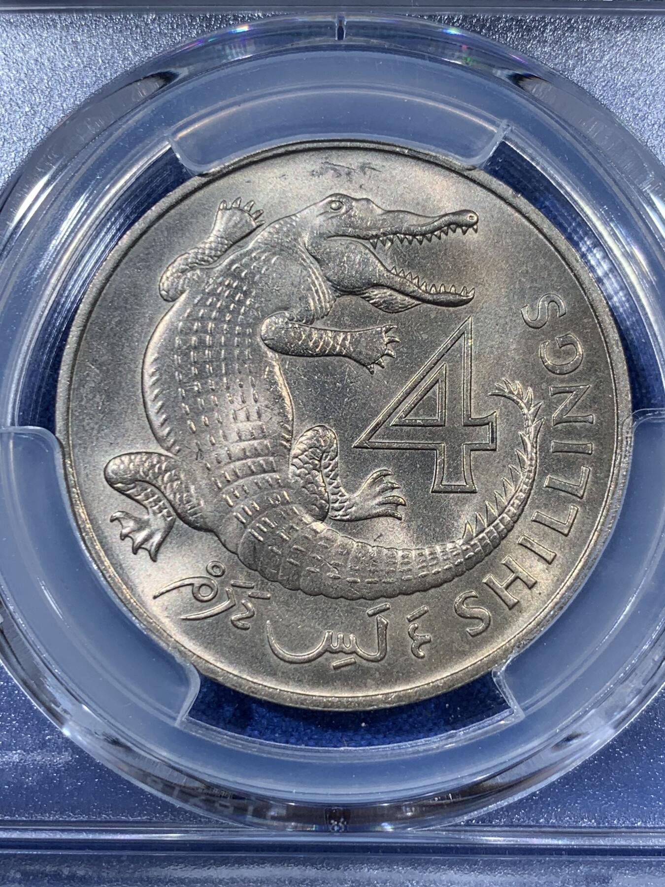 《竞宝斋》第408场 周日，周一，2场连拍 （全场包邮） PCGS MS64 冈比亚1966年4先令大鳄鱼 热门品种 两面转光 卷拆品相 好品比较少