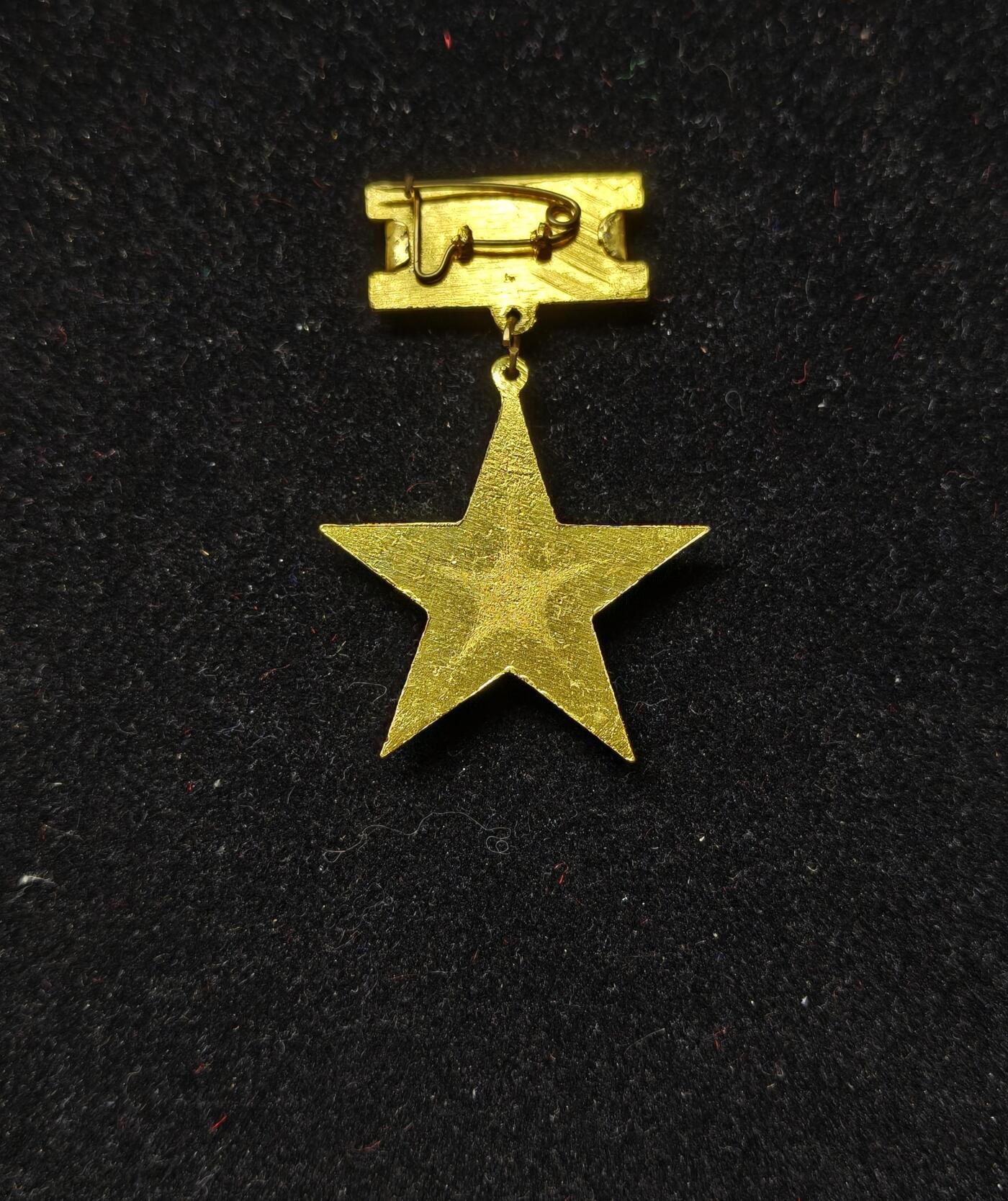 蜀地medal第10场精品专场拍卖 越南 母亲金星勋章 T1