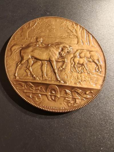 老王徽章第140期 - 法国畜牧业养殖大铜章    直径69mm   重量149g
