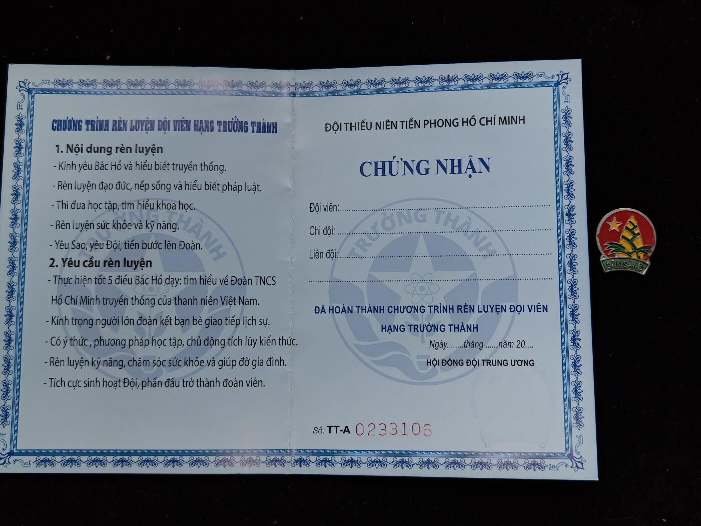 蜀地medal第10场精品专场拍卖 越南少年先锋队证章一套 #01