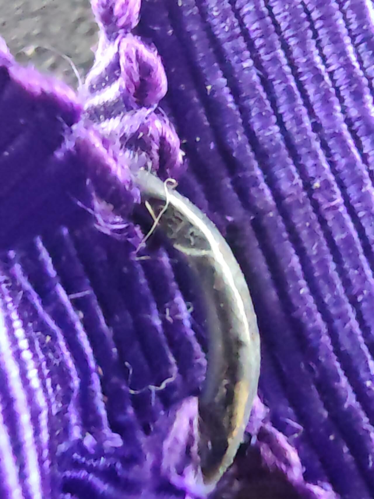 凯旋世界勋赏（第17期）（欢迎送拍）（对拍品有疑问请询问客服，不接受到手刀，出价默认拍品品相。请认真阅读拍卖规则！出价默认已认可！）（收到货请录制开箱视频，无视频概不处理问题。） 法国棕榈叶珠宝商带红宝石钻石版本银制打标