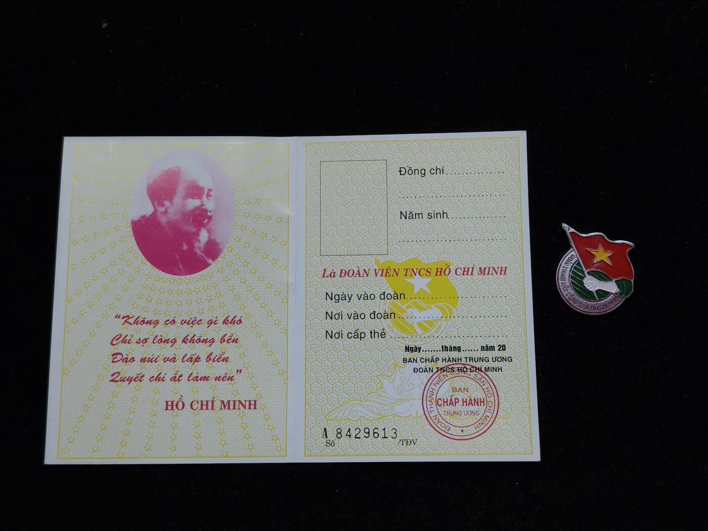 蜀地medal第10场精品专场拍卖 越南共青团证章一套 #02