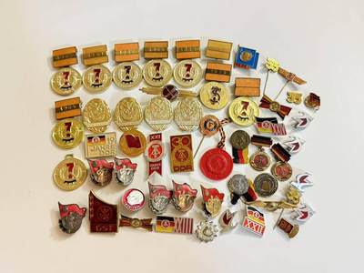 RimeNova韵星2025军品类夏季拍卖会-- RimeNova 2025 Summer Militaria Sale - 民主德国7年计划奖章，建国纪念，gst射手，工会，技能章，苏德徽章一组