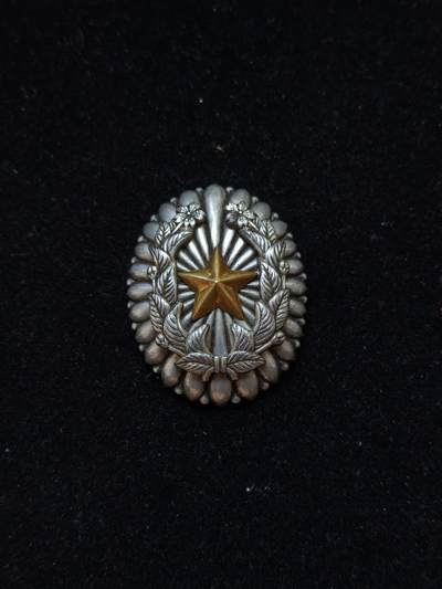 蜀地medal第10场精品专场拍卖 - 第二次世界大战 日军大队长尉官证章 授予军事主官