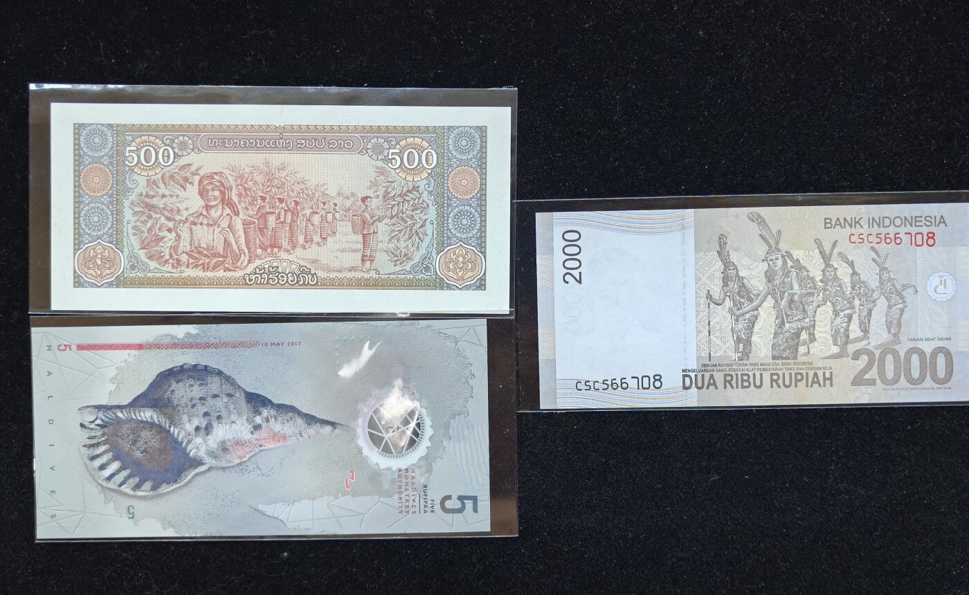 蜀地medal第10场精品专场拍卖 老挝印尼外币一组