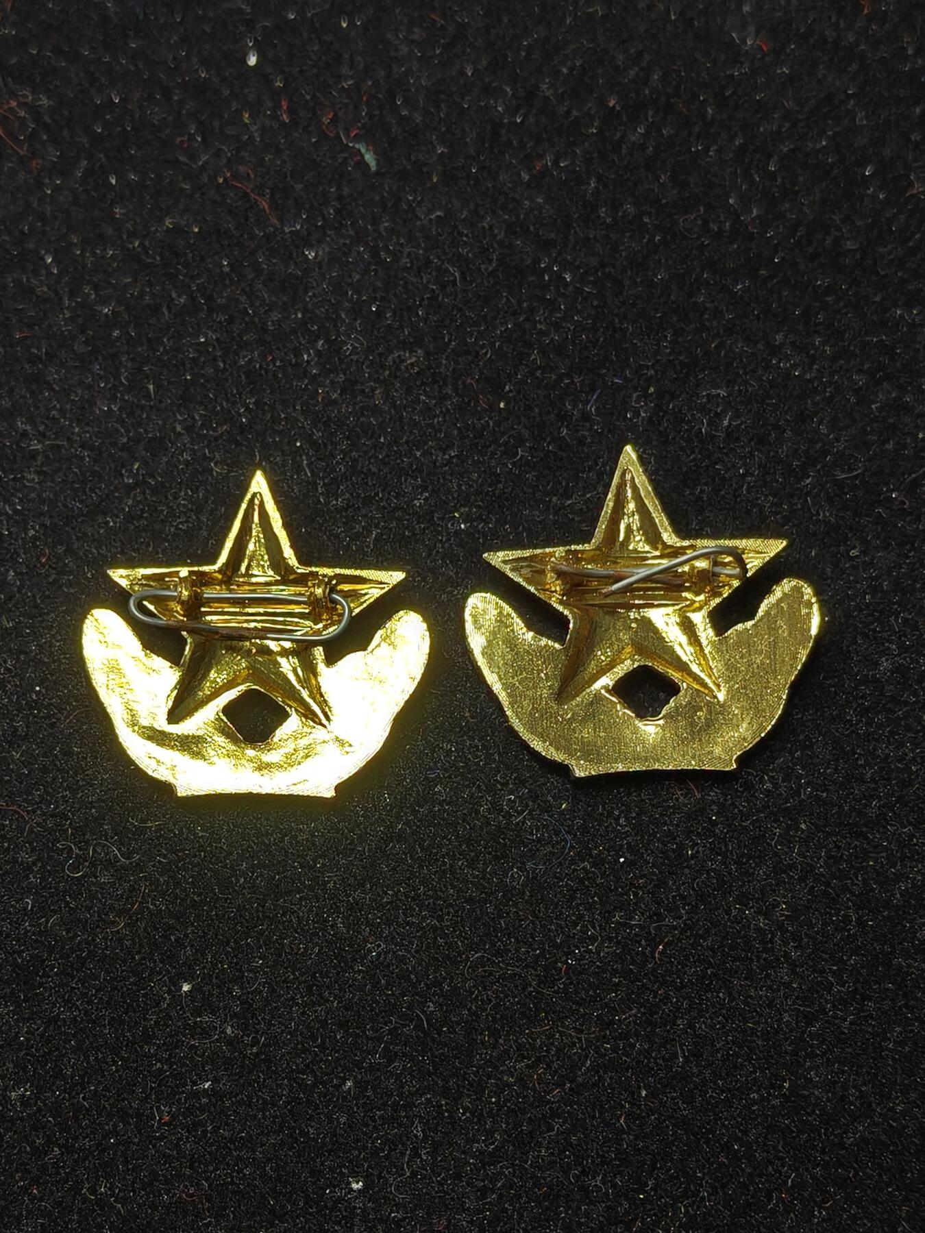 蜀地medal第10场精品专场拍卖 北越南80年代领花一对