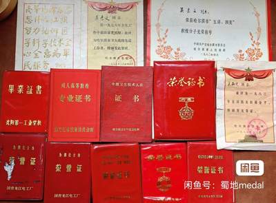 蜀地medal第10场精品专场拍卖 - 同一个人护士的大全套证书 已作废 无任何作用用途 仅供收藏