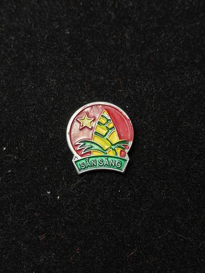 蜀地medal第10场精品专场拍卖 - 越南少年先锋队证章