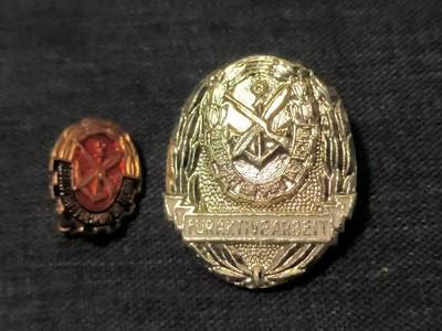 罗岚⭐爱藏⭐精品专拍-分享拍场赚佣金 - 民主德国GST体育技术协会会员证章+荣誉会员证章