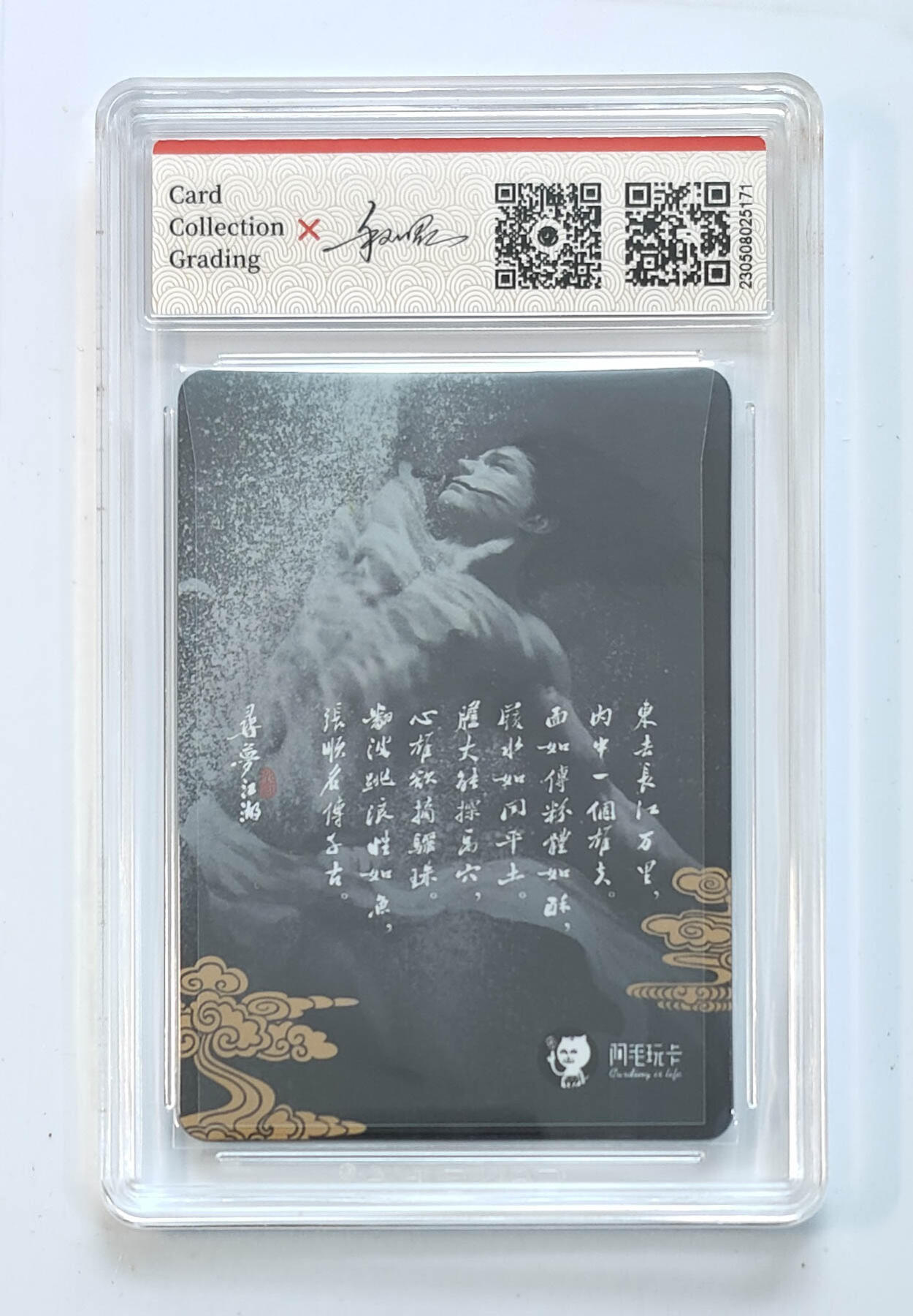 阳大大卡牌拍卖第65期（持续收拍品，周五晚上九点截拍，进群福利早知道）