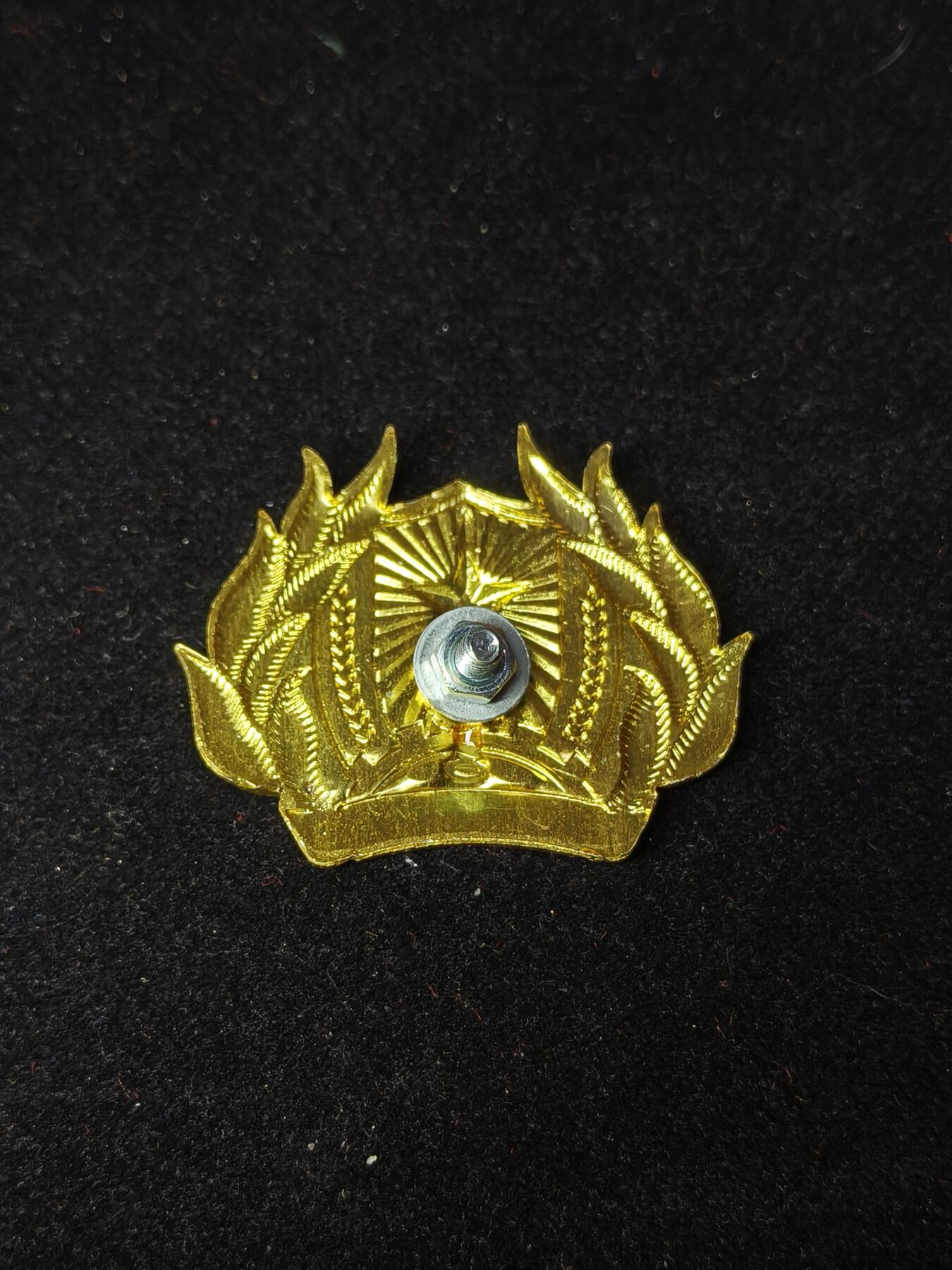 蜀地medal第10场精品专场拍卖 越南基层安全维护部队帽徽