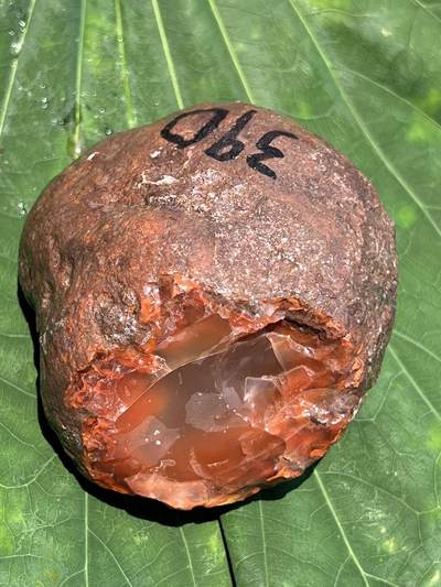 零元拍：南红玛瑙手把石，约390克大料。料形完整火焰纹果冻，非常漂亮，纯天然，独一无二的（天然原石不可避免有瑕疵，裂纹，介意勿拍）因为拍照环境以及光线的变化，颜色以实物为准。成品很美丽，原石亦魅力无穷。 - 零元拍：南红玛瑙手把石，约390克大料。料形完整火焰纹果冻，非常漂亮，纯天然，独一无二的（天然原石不可避免有瑕疵，裂纹，介意勿拍）因为拍照环境以及光线的变化，颜色以实物为准。成品很美丽，原石亦魅力无穷。