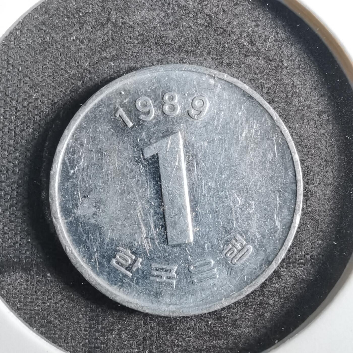沼泽如烟--第805场