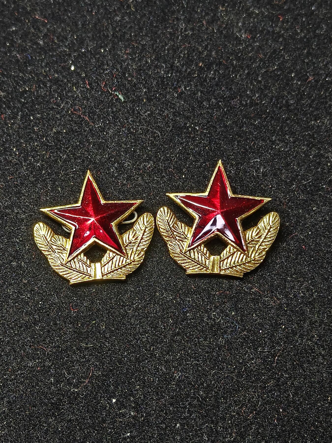 蜀地medal第10场精品专场拍卖 北越南80年代领花一对
