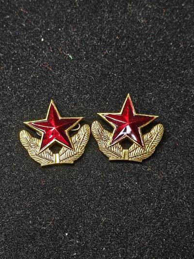 蜀地medal第10场精品专场拍卖 - 北越南80年代领花一对