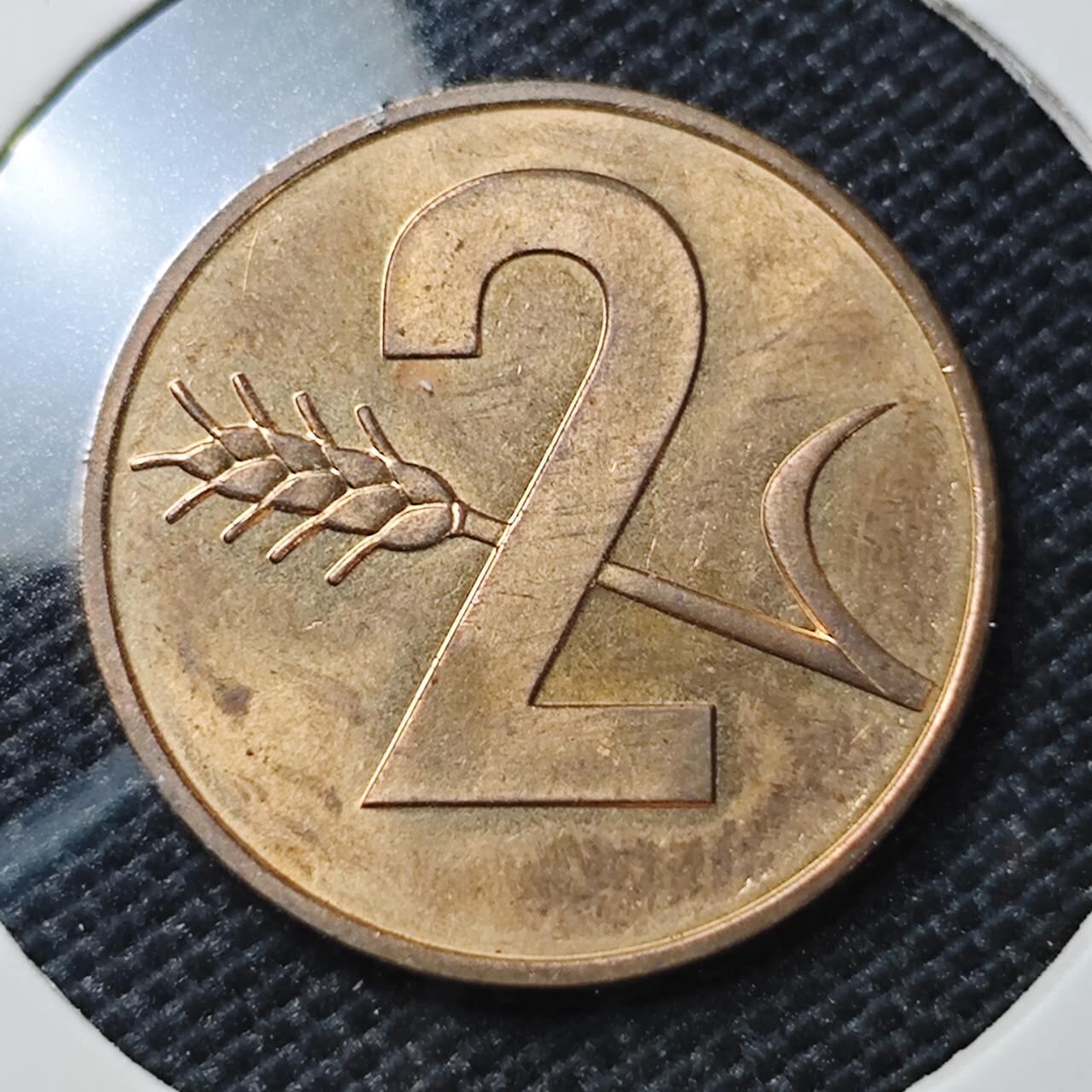 KK钱币收藏小铺 第317期 2月预留时间 周末发货