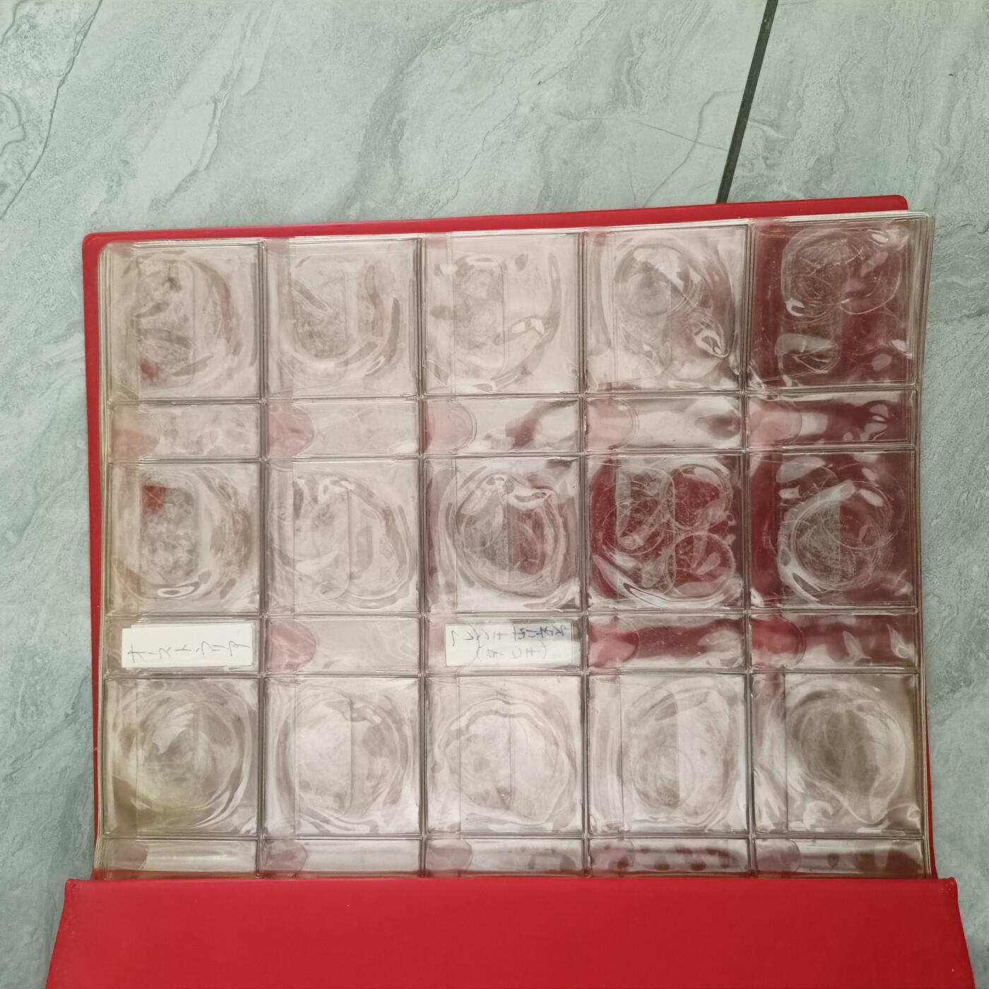 泡泡币外币第六十五场可代拍15038385335微信 硬币册