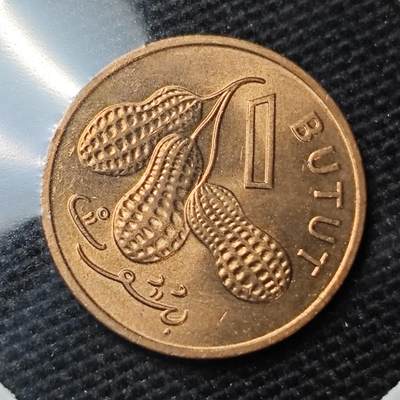 KK钱币收藏小铺 第317期 2月预留时间 周末发货 -  冈比亚铜币 花生