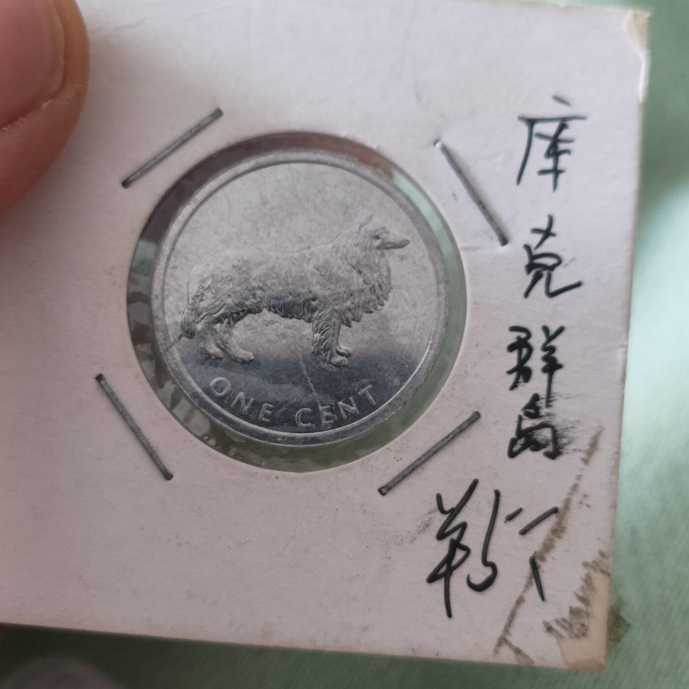 泡泡币外币第六十五场可代拍15038385335微信 库克小狗