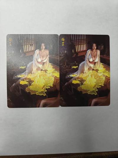 龙虎卡牌第四十九场 （无佣金，满120包邮，欢迎送拍，摩点开车） - 幻普2张  燎原  刷子 人间传-杨芷