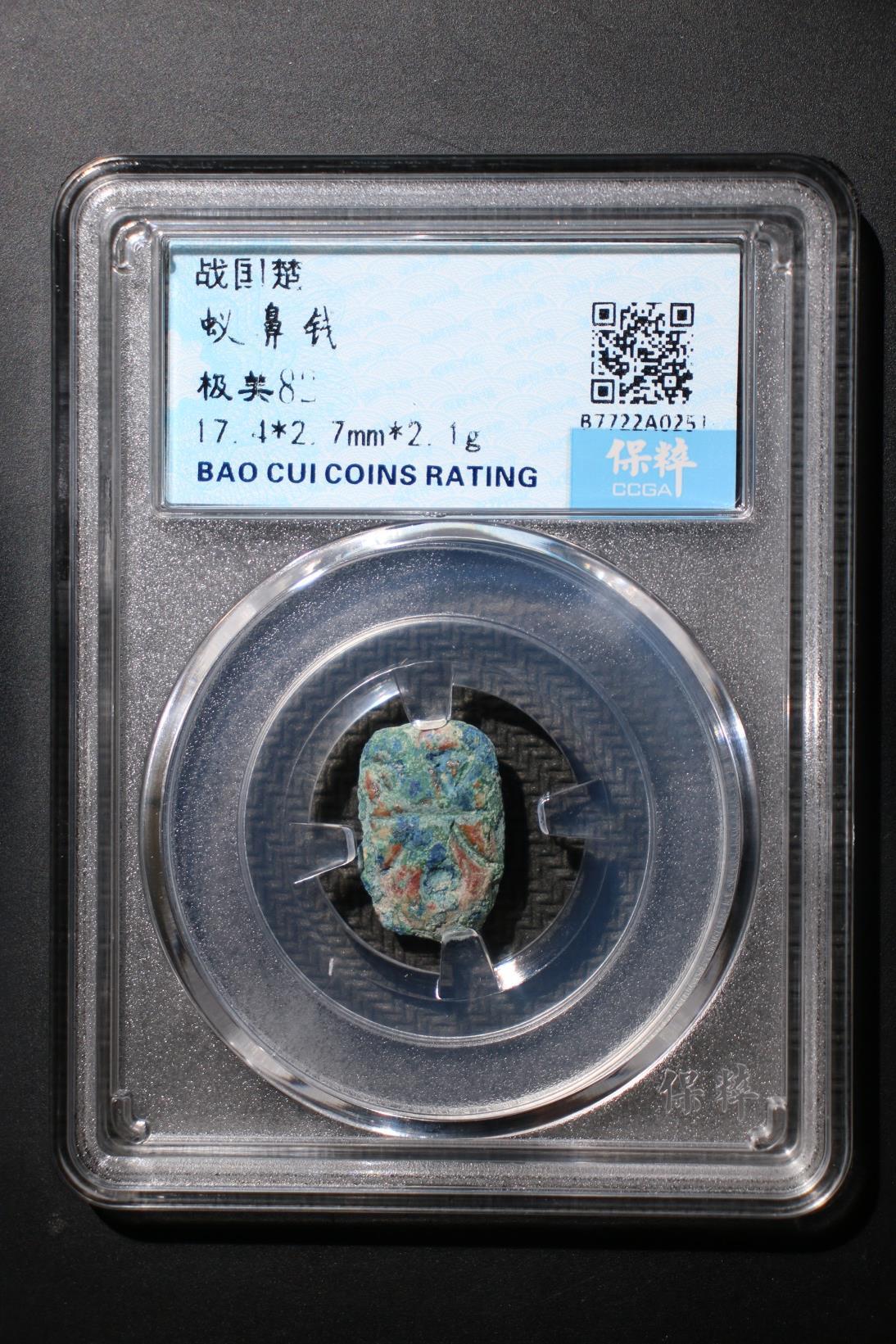蚁鼻钱 极美82
