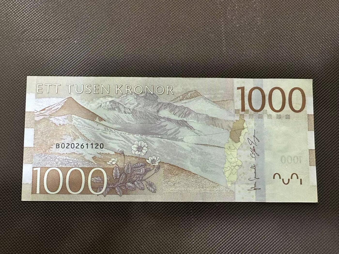 喜羊羊钱币收藏2025第8期(普品场) 瑞典1000 unc  无47