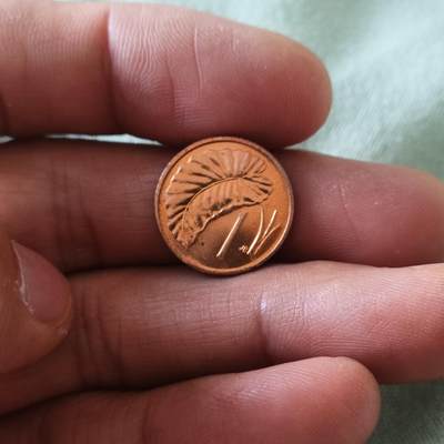 泡泡币外币第六十五场可代拍15038385335微信 库克一分