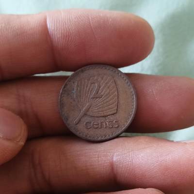 泡泡币外币第六十五场可代拍15038385335微信 斐济花环二分