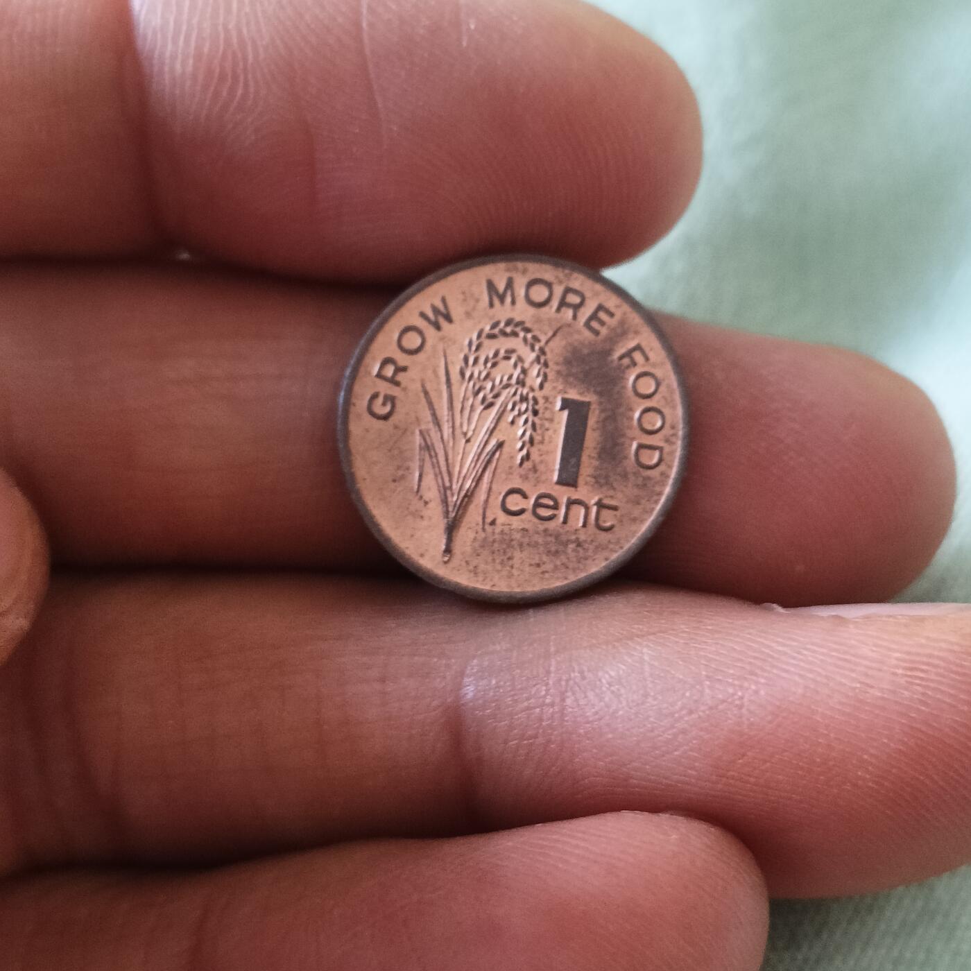 泡泡币外币第六十五场可代拍15038385335微信 斐济粮农