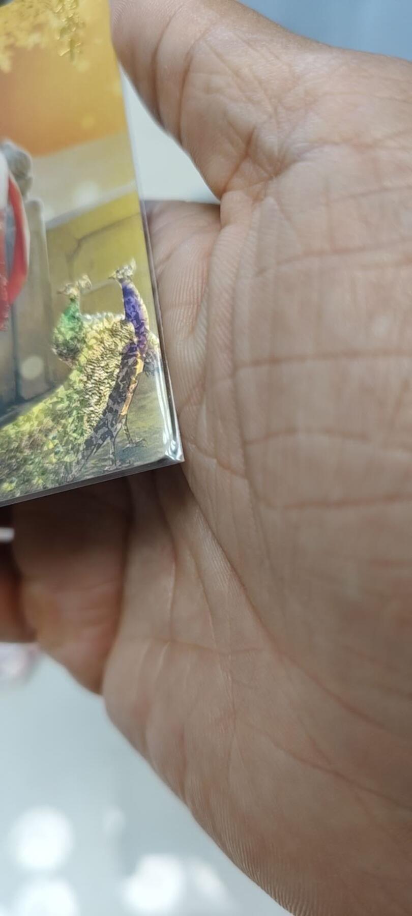 秋原瞳的小店第19期（竹竿击落叶子，红枣掉落下来的砰砰声，那是最美好的记忆之一）