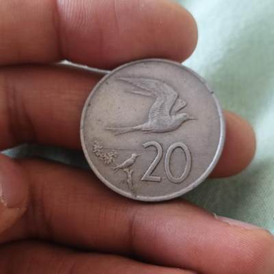 泡泡币外币第六十五场可代拍15038385335微信 库克20分