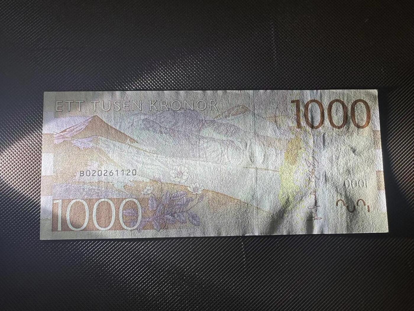 喜羊羊钱币收藏2025第8期(普品场) 瑞典1000 unc  无47