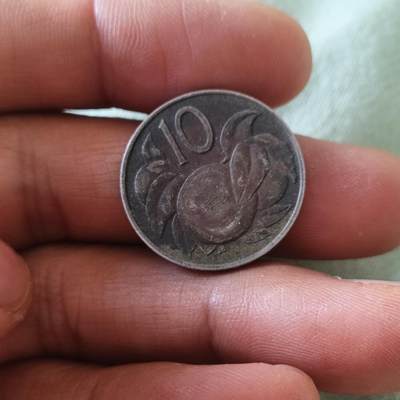 泡泡币外币第六十五场可代拍15038385335微信 库克十分