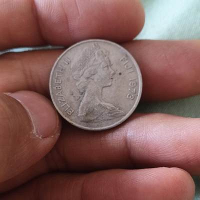 泡泡币外币第六十五场可代拍15038385335微信 斐济十分花环